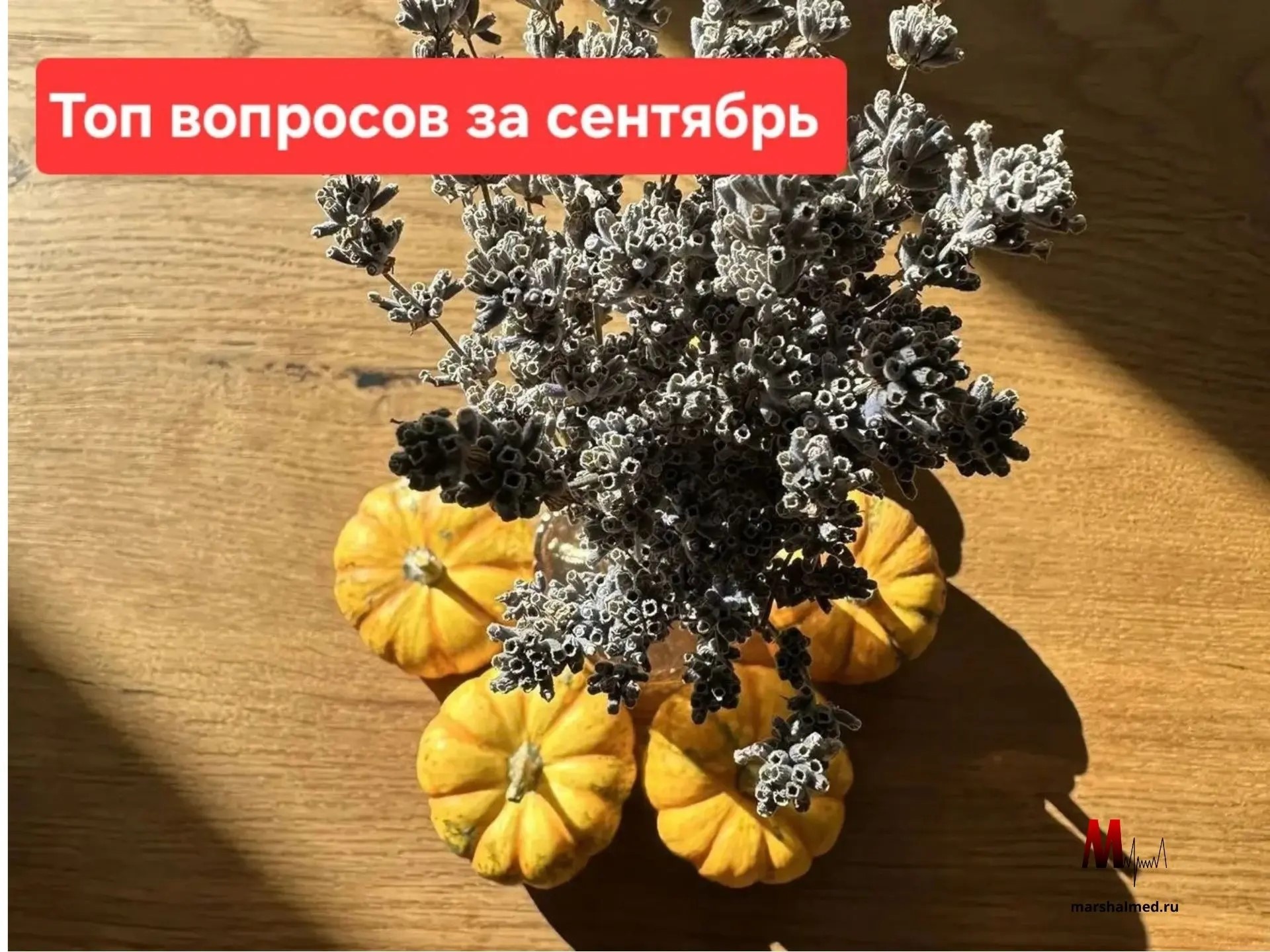 Топ популярных вопросов за сентябрь - Маршалмед